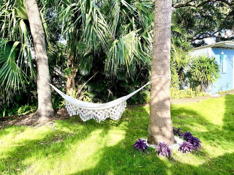 Cozy Sanctuary Minutes From The Bay And Beaches Tampa Exterior foto