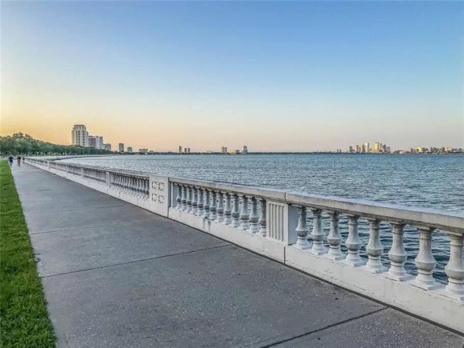 Cozy Sanctuary Minutes From The Bay And Beaches Tampa Exterior foto